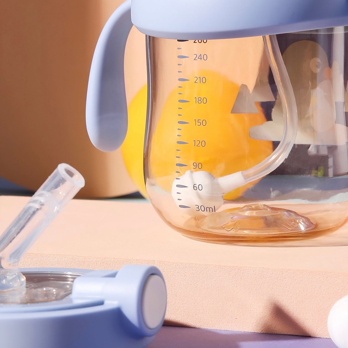 Baby Development Sippy Cup & Straw Cup