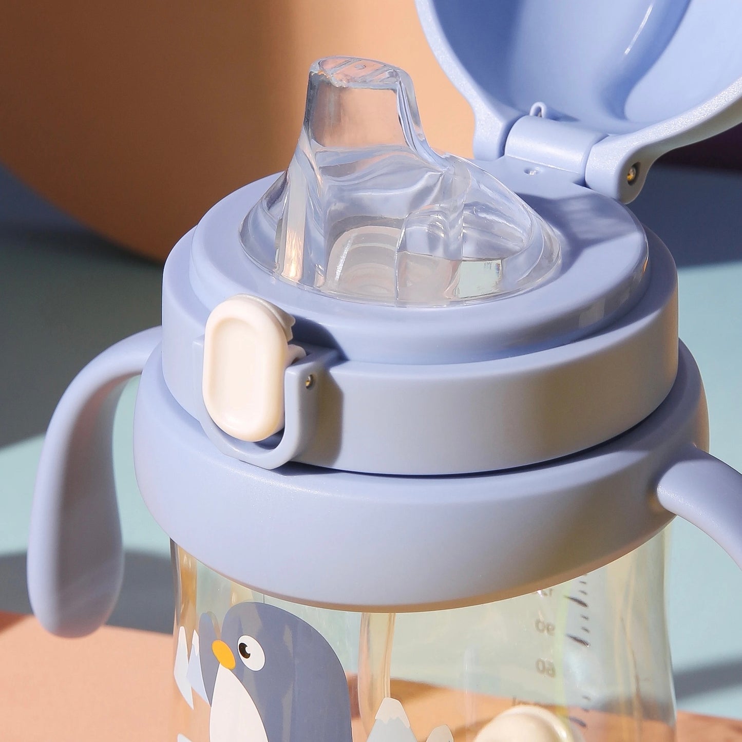 Baby Development Sippy Cup & Straw Cup