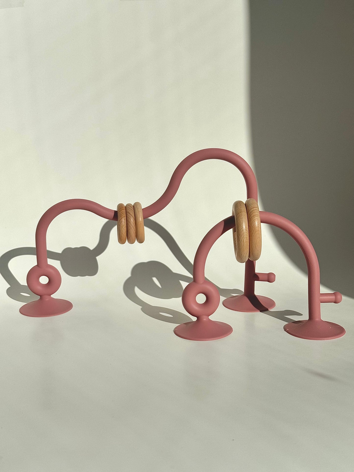 Montessori Development Teether Toy